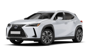 Lexus UX-300e Business