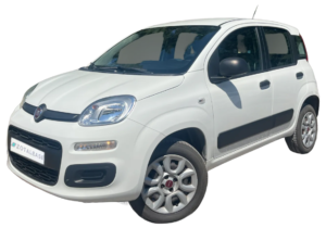 Leasing Fiat Panda 4x2 CNG 0.9 (2020, 125.539 χλμ)